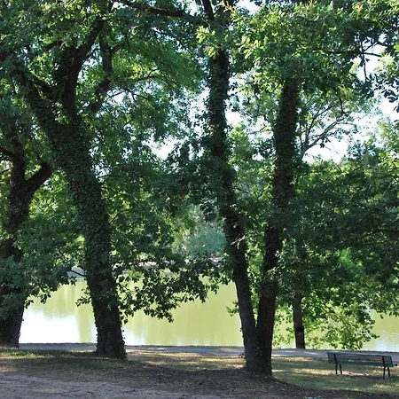 Face Au Lac בית נופש